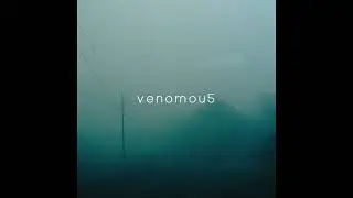 Stargazing - Copyright Free Liminal / Dreamcore music