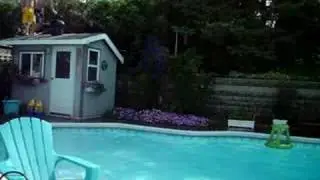 Phil does a gainer off the shed