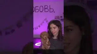 #daryaanaaa на #Twitch | Окак