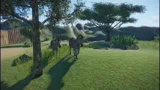Zebra Habitat 🦓  Speed Build | Planet Zoo