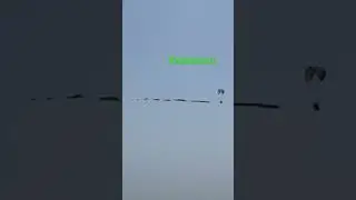 Japanese Flying Fish - Koinobori Shonan Life