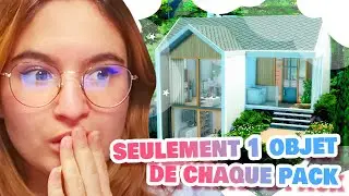 ☾ Construire avec 1 OBJET de chaque pack ? (pas plus, pas moins) 😲 | challenge - SIMS 4 ☽