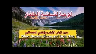 When Flowers Bloom and Birds Singحين تزهر الأرض وتغني العصافير