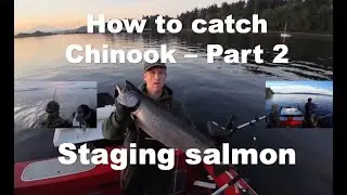 How to CATCH Chinook Part 2  - Staging Salmon - 6 TIPS