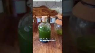An original of mine, the Shiso Gin-Gin #cocktail #cocktailrecipes #mixeddrinks #drink #recipe #diy