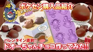 【バレンタイン】ドオーちゃんのチョコを作ってみたよ！【ポケモン】
