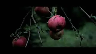 Magic Lantern 200D - 18-135mm IS STM - 1920x818 14bit 2:35.1 - H.265 NVENC Lossless