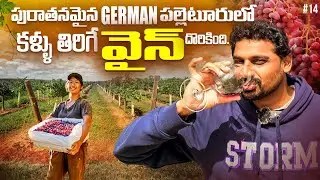 Немецкая деревня | Макларен Вейл | Куба | Австралия 🇦🇺 | Ума Телугу Путешественница