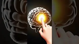 Why You Get 