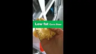 How to get Low Fat Corn Flour from corn milling production line automatically