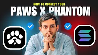 How to connect your PAWS to phantom wallet?