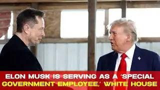 Elon Musk is serving as a &lsquo;special government employee,&rsquo; White House says