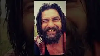 Bamsi real life photos