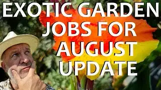 Tropical Gardens UK: Exotic Garden Jobs for August Update