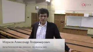 Александр Марков о центре 
