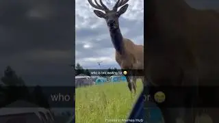 Dank Memes 😭 Part 41