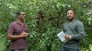 ಪಟೇಲ್ ಅಕಾಲ್ ಜಂಬುನೇರಳೆಯ ಶ್ರೇಷ್ಠತೆ - ಶ್ರೀ ಪ್ರದೀಪ ಪಟೇಲ | Patel Akal Jamun Fruit Speciality & Production