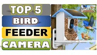 Top 5 Best Bird Feeder Camera || From On Aliexpress