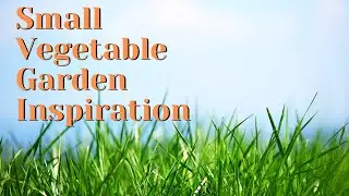 First Ever Garden Tour - *JUNE 2021* // Garden Tour