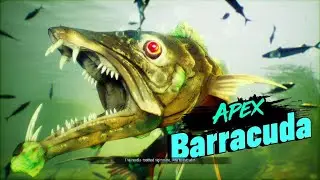 Maneater Boss Battle: APEX Barracuda |PS5