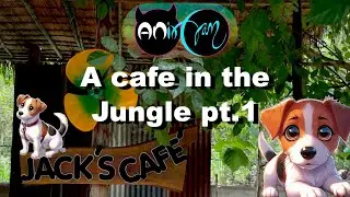 Jack's Cafe in Khon Kaen is a Chill Jungle Experience