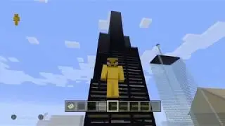 Sears Tower Tour