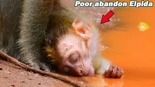 Poor abandon Elpida