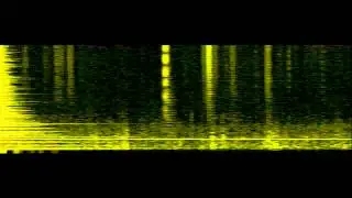 Audiolization of the Sumatra 2004 Earthquake
