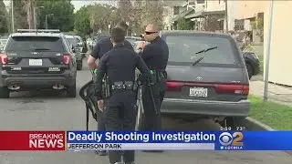 Mother Shot Dead In Jefferson Park, Man Arrested