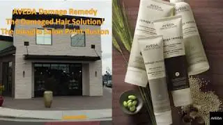 AVEDA Damage Remedy The Solution For Damaged Hair The Intaglio Salon Point Ruston