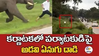కర్ణాటకలో పర్యాటకుడిపై అడవి ఏనుగు దాడి | Wild Elephant Attack On Tourist in Karnataka