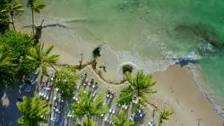 PALMS OF HEAVEN - BACARDI ISLAND - DOMINICAN REPUBLIC 4K
