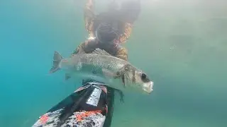 Spearfishing Croatia - Neo Carbone - 