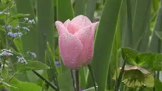 그게 인생 아니더냐!