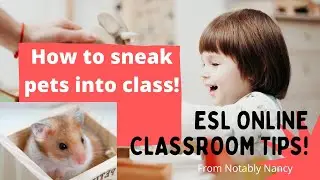 How to sneak pets into class! ESL Online Classroom Tips from Notably Nancy