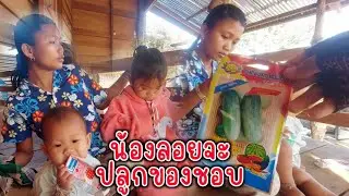 น้องลอยอยากมีอยากปลูกบ่าวนงเเมล็ดมาฝาก