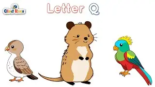 Learn letter Q with Animal Names | ABCs Learning |  learning video for kids and babies