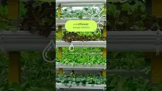 How Plastics Are Revolutionizing Agriculture