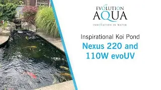 In ground Koi Pond running on a Evolution Aqua Nexus 220