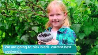 27 black currant bl&aelig;k 'kʌrənt блэк 'карэнт &mdash; смородина черная