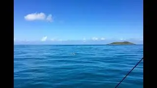 Buck Island A Pristine Coral Reef Just 20 Minutes From Christiansted St Croix