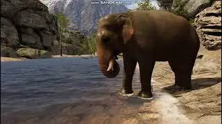 VRChat 2024 Bear loves Fish