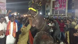 Naryanguda Sadar Festival 2017 II Buffalo Carnival of Naryanguda 2017 II Hyderabad