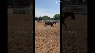 She's the best❤ #animals #horse #donkey #equestrian #family #horsegirl #farm #pony #rodeo #horses