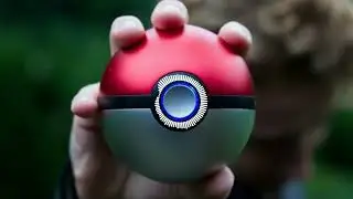 Wild battle - Pokemon reborn