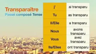 How to conjugate Transpara&icirc;tre (to show through ) in Pass&eacute; compos&eacute; tense.