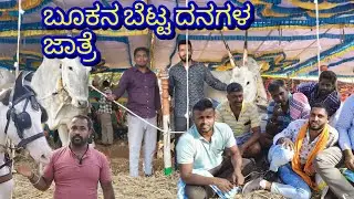 ಬೂಕನ ಬೆಟ್ಟ ದನಗಳ ಜಾತ್ರೆ 2026 ಇಷ್ಟು ಧನ ಜನ ಸೇರೋ ಜಾತ್ರೆ ಇದು  #bokanbetta #viral