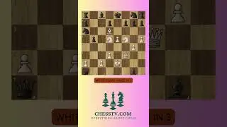 White plays -mate in 3.#chess #chesspuzzle #scacchi #xadrez #chess #ajedrez #&eacute;checs #xadrez #шахматы