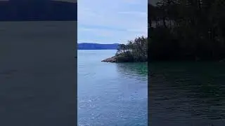 Discovering Burrow Island: A Scenic Shoreline Tour