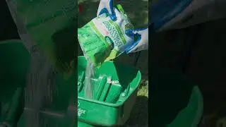 Осенний уход за газоном 101